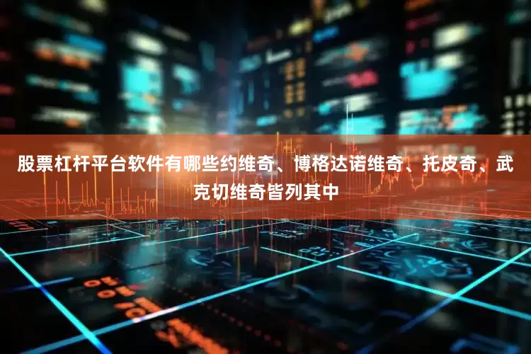 股票杠杆平台软件有哪些约维奇、博格达诺维奇、托皮奇、武克切维奇皆列其中